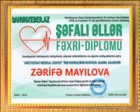 2022 — «Şəfalı əllər» fəxri diplom